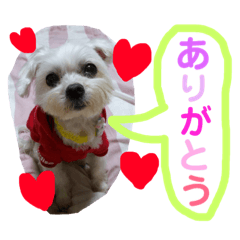 [LINEスタンプ] 可愛い可愛い菜々スタンプ