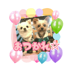 [LINEスタンプ] りんこじさく①