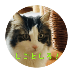 [LINEスタンプ] いっつぐるーびー