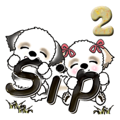 [LINEスタンプ] シーズー犬(スペイン語)Vol.2