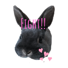 [LINEスタンプ] Tico's collection2