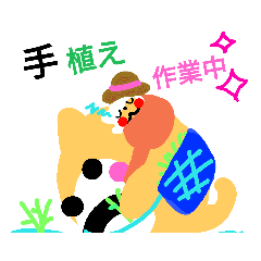 [LINEスタンプ] お犬3兄弟(兄ちゃんの田んぼと畑作業編①)