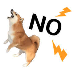 [LINEスタンプ] 柴犬の可愛いスタンプ