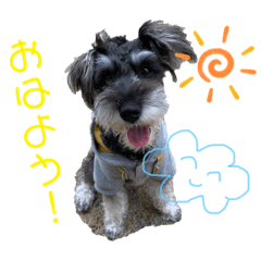[LINEスタンプ] しゅな家族