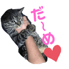 [LINEスタンプ] mayuneco