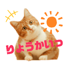 いろいろ了解スタンプ