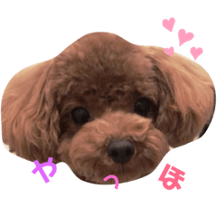 [LINEスタンプ] Johndayo3