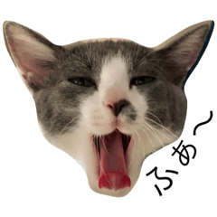 [LINEスタンプ] ウチのルル