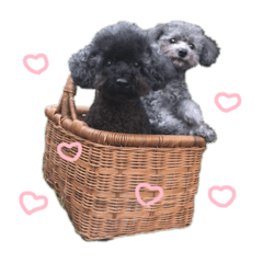[LINEスタンプ] ローラとハイジの画像（メイン）
