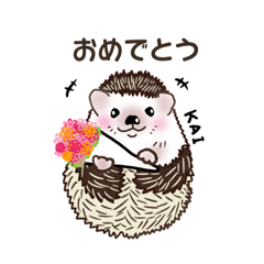 [LINEスタンプ] ハリネズミのカイとレイ with ファミリー