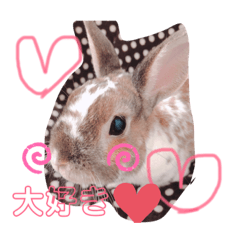 あぁ〜愛しいペット