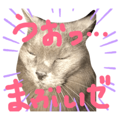 [LINEスタンプ] もこと仲間たち