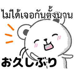 [LINEスタンプ] タイ語と日本語毎日使える基本的な言葉