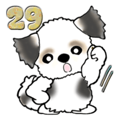 [LINEスタンプ] 【大きめ文字】シーズー犬(日常使う言葉)29の画像（メイン）