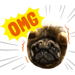 [LINEスタンプ] パグのらぶ