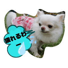 [LINEスタンプ] ちわまるひなむぎだよ！