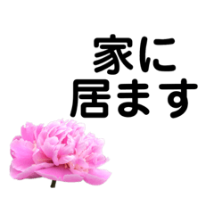 [LINEスタンプ] 六条 花1