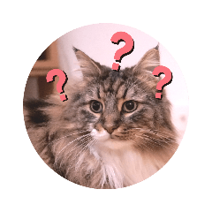 [LINEスタンプ] カフレアスタンプ