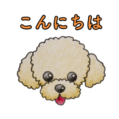 [LINEスタンプ] トイプードル(クリーム)