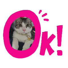 [LINEスタンプ] 猫ときどき柴犬