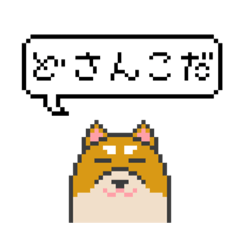 [LINEスタンプ] ドット絵！北海道弁の柴犬の画像（メイン）