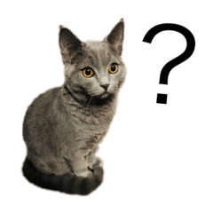 [LINEスタンプ] うに(第一弾)