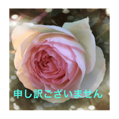 [LINEスタンプ] 丁寧なフラワーシャワー2