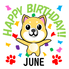 [LINEスタンプ] 柴犬の誕生日おめでとう 6月