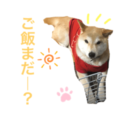 [LINEスタンプ] ぎんの毎日スタンプ