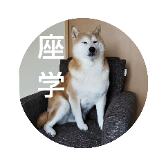 [LINEスタンプ] 柴犬しば爺4