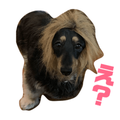 [LINEスタンプ] Monsters "ピピ元年"