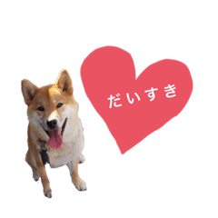 [LINEスタンプ] まいねーむいずれん