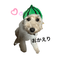 [LINEスタンプ] ぶさプークオン2