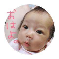 [LINEスタンプ] うちのあおちゃん。
