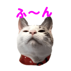 [LINEスタンプ] めかぶ1