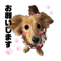 [LINEスタンプ] ありあのきもち。