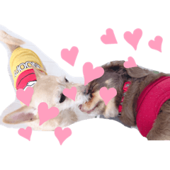 [LINEスタンプ] 私の大切な子供たち2