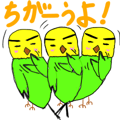 [LINEスタンプ] キリッとインコちゃんの画像（メイン）