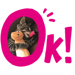 [LINEスタンプ] 猫と犬CAT＆DOG