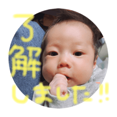 [LINEスタンプ] うちのあおちゃん。③