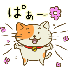 [LINEスタンプ] 気さくなネコ アニメスタンプ