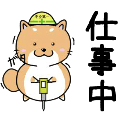 [LINEスタンプ] 中犬コタロー