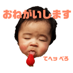 [LINEスタンプ] ナッツとかーくん