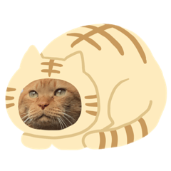 [LINEスタンプ] うちのれい