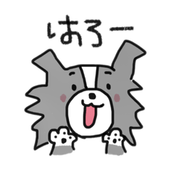 [LINEスタンプ] ボーダーコリーちゃんといっしょ！