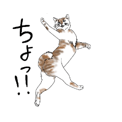 [LINEスタンプ] 跳躍力のある猫