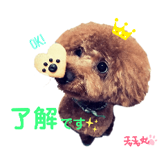 [LINEスタンプ] トイプ★チャチャ丸