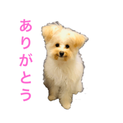[LINEスタンプ] そぼろスタンプ 3