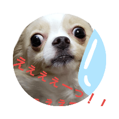 [LINEスタンプ] tiwawan2