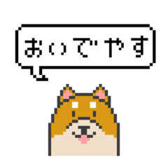 [LINEスタンプ] ドット絵！京都弁の柴犬の画像（メイン）